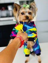 Waterproof Colourful Dog Hoodie