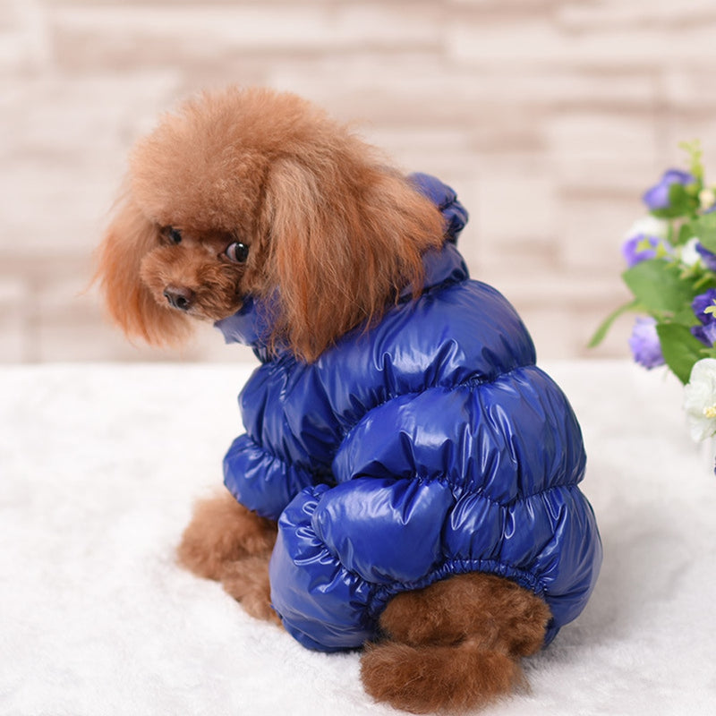 Warm & Shiny Jacket for Dogs