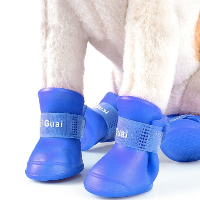 Puppy Outdoor Shoes for Rainy days