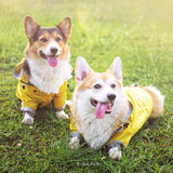 Outdoor Raincoat For Dogs