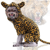 Animal Costumes For Dogs