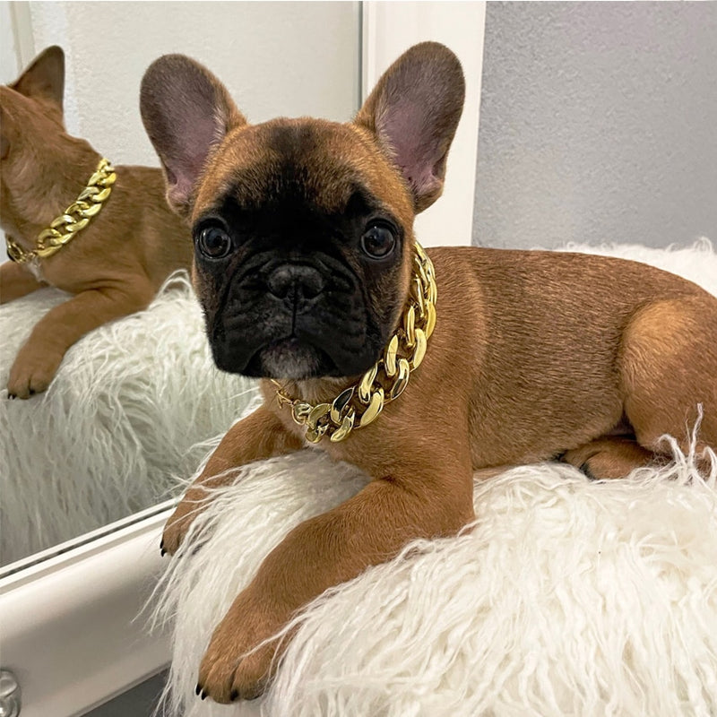 Gold Dog Chain