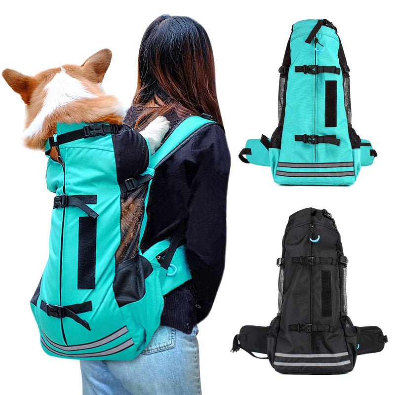 Outdoor Dog Carrier Bag for Corgi and Bulldog