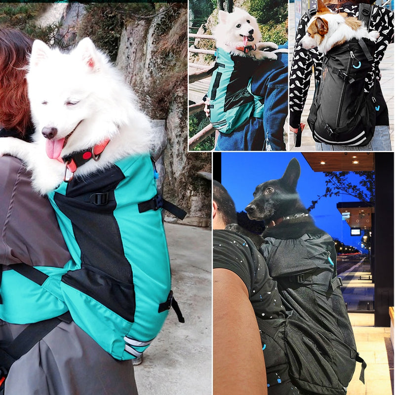 Outdoor Dog Carrier Bag for Corgi and Bulldog