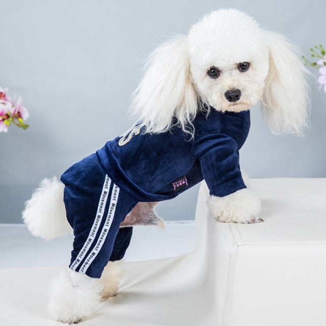 Fashion Letter Dog Clothes
