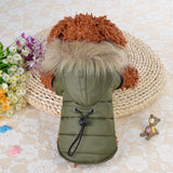 Warm Outfits For Dogs