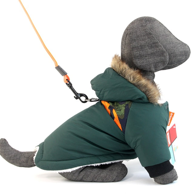 Winter Dog Costumes