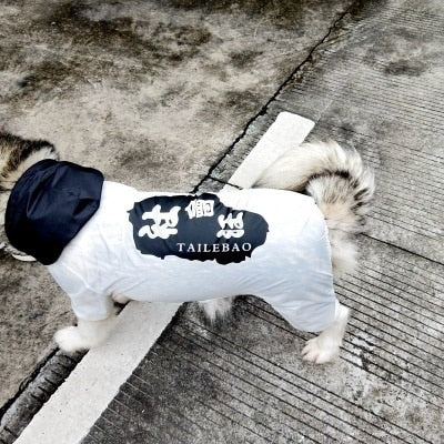 Matching Dog Raincoat