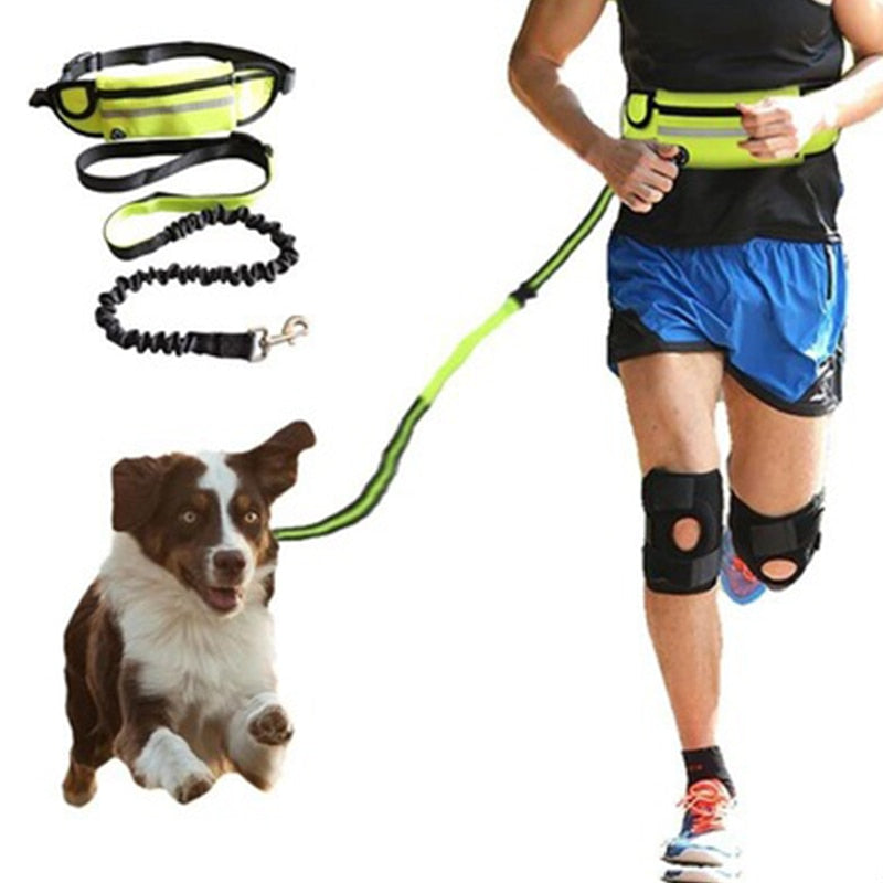 Dog Traction Rope