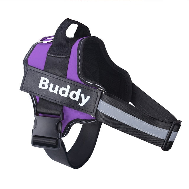 Personalized Safety Dog Harness