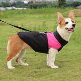 Warm & Waterproof Dog Vest