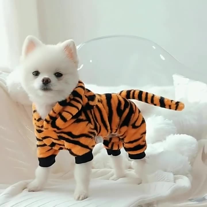 Cute Tiger Dog Cosplay