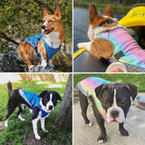 Chill Vest For Dogs
