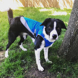 Chill Vest For Dogs