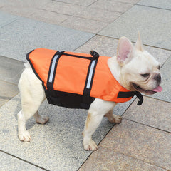 Buckle Dog Life Vest