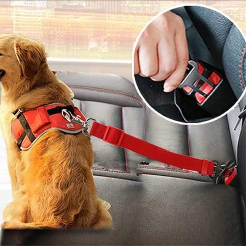 Puppy-Protection - Lifesaver Dog SeatBelt For Car