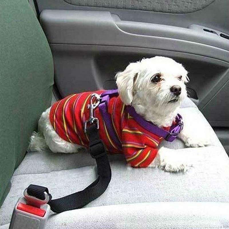 Puppy-Protection - Lifesaver Dog SeatBelt For Car