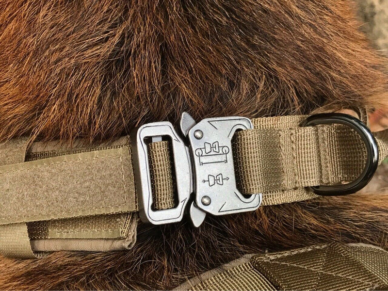 USA Flag Tactical Dog Collar